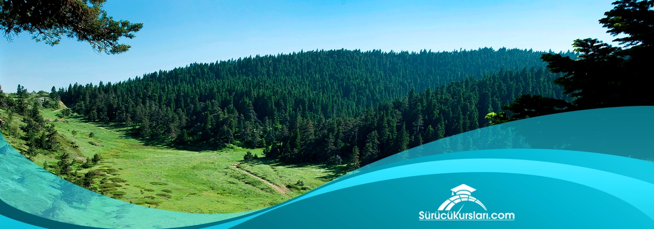 11 Nerenin Plakası, 11 Plaka Hangi Şehrin - İlin Plaka Kodu?