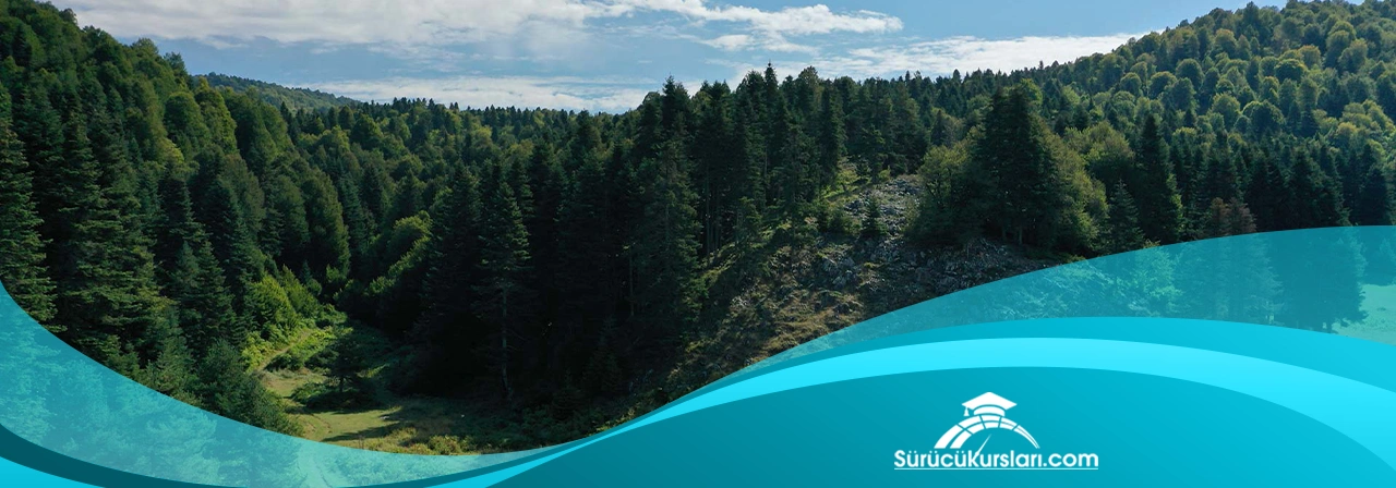 41 Plaka Nerenin Kodu? Sanayinin ve Doğanın Başkenti