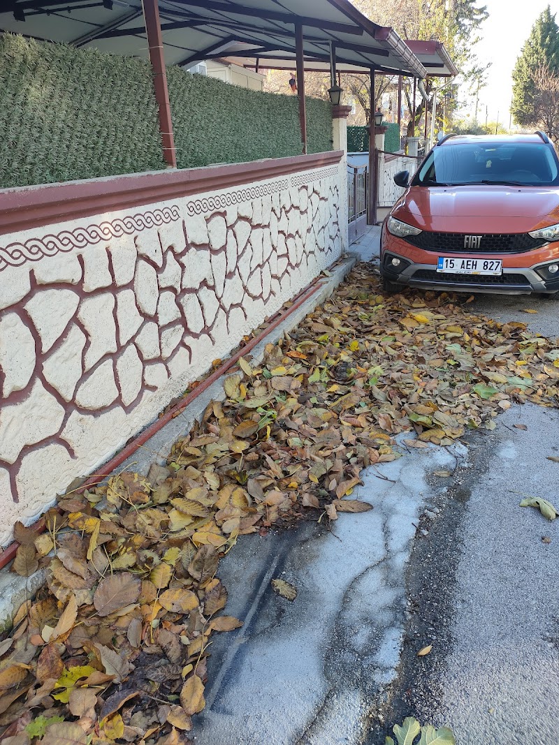 Peker Sürücü Kursu