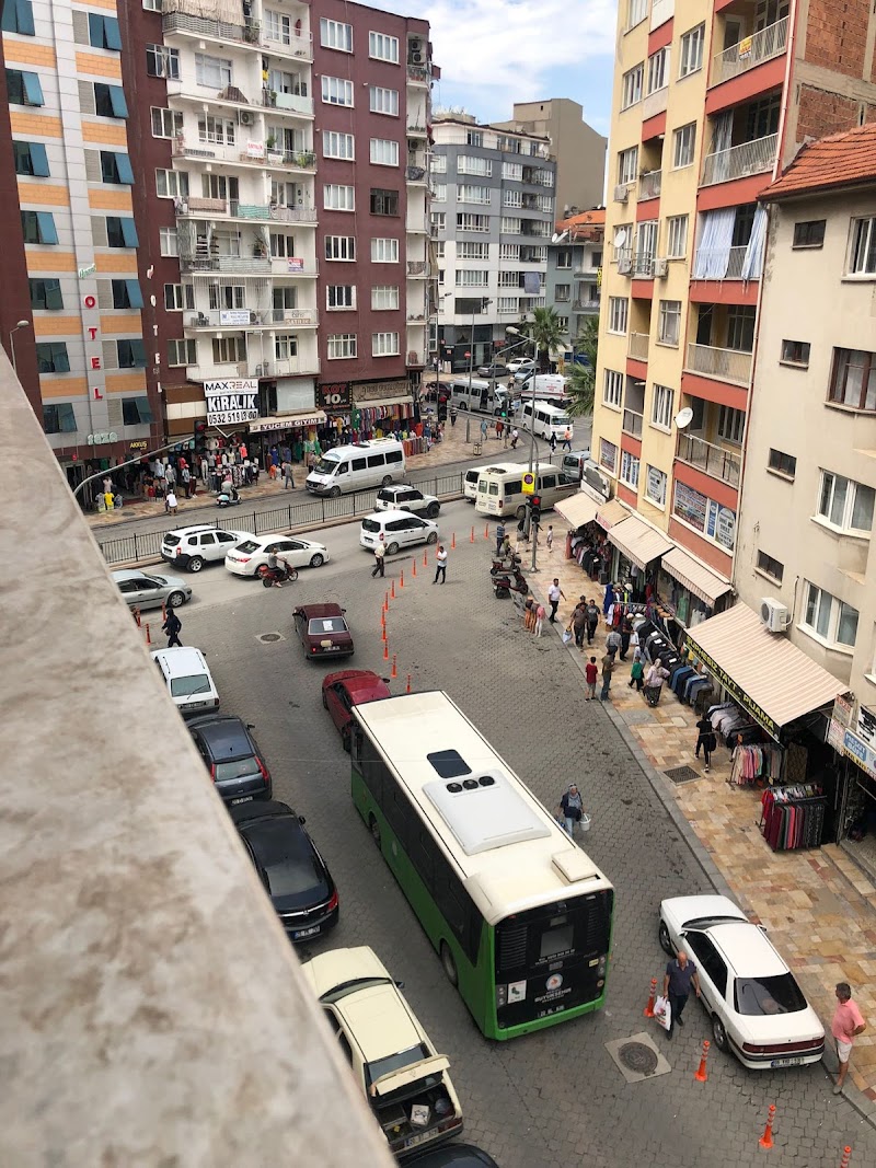 Zebra Taşıt Sürücü Kursu