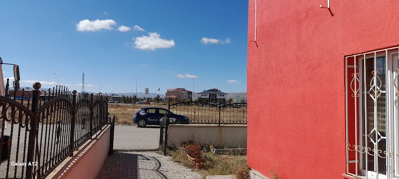 Tema 6 Sürücü Kursu