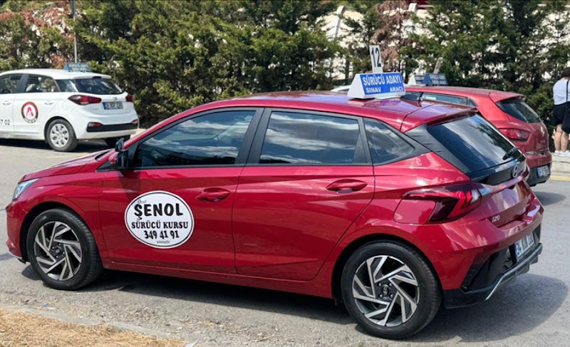 Şenol Sürücü Kursu