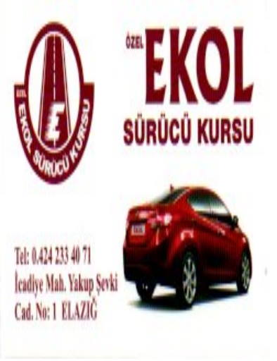 Ekol Sürücü Kursu