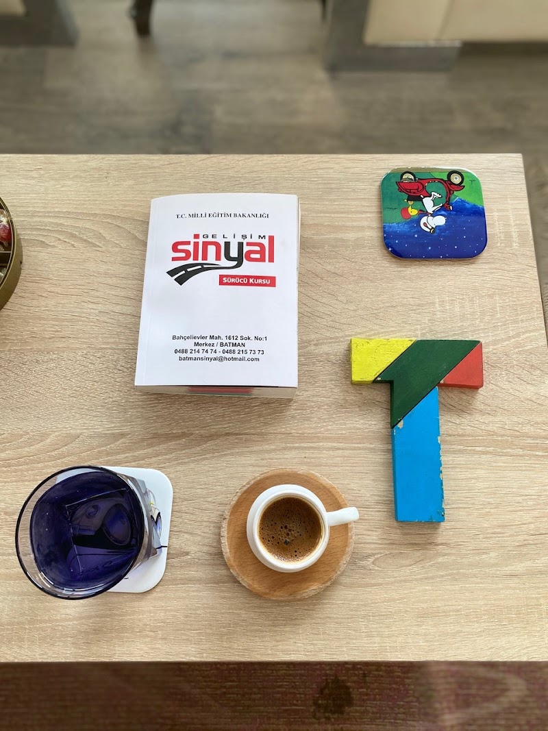 Gelişim Sinyal Sürücü Kursu