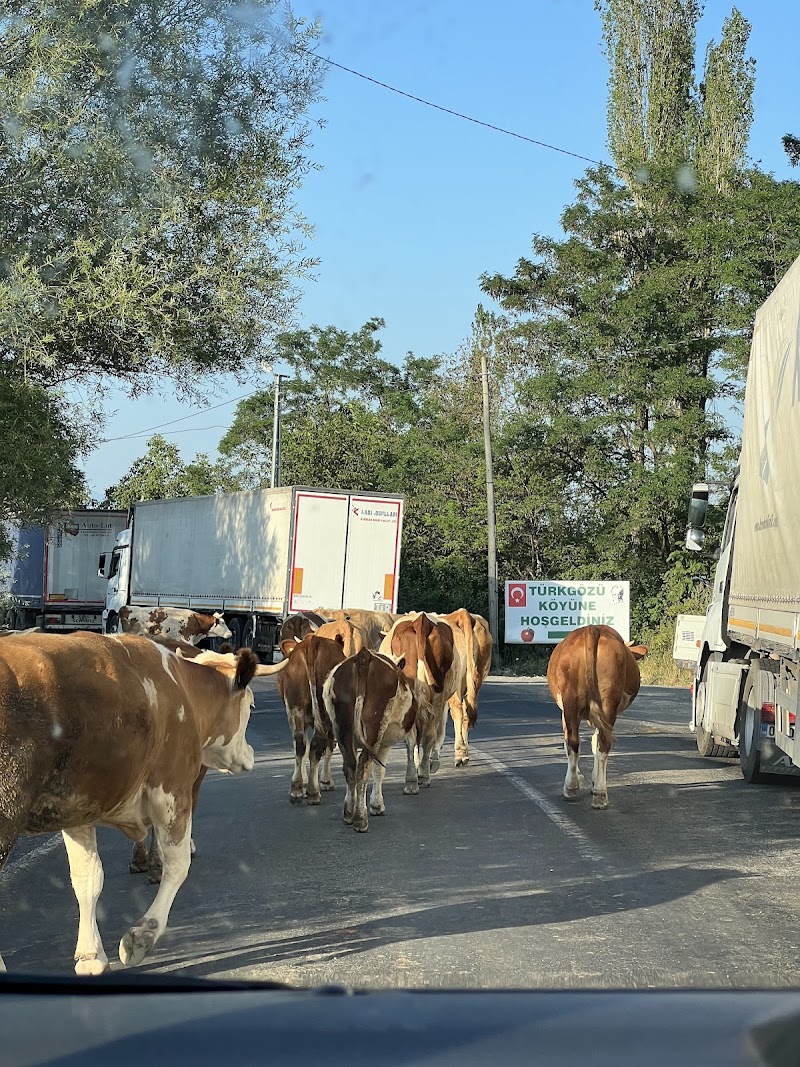 Türközü Otoban Sürücü Kursu