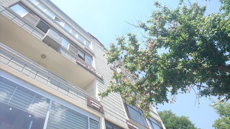 Yeni Gökduman Sürücü Kursu