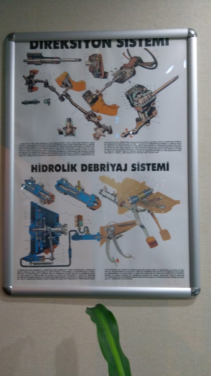 Öz Damla Sürücü Kursu