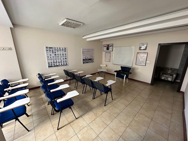 Demet Lale Sürücü Kursu