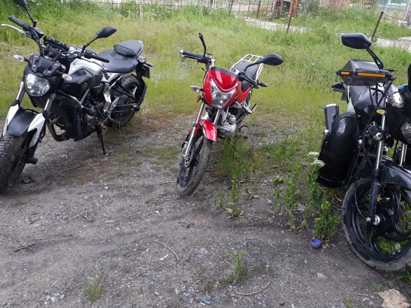 Lider Sürücü Kursu