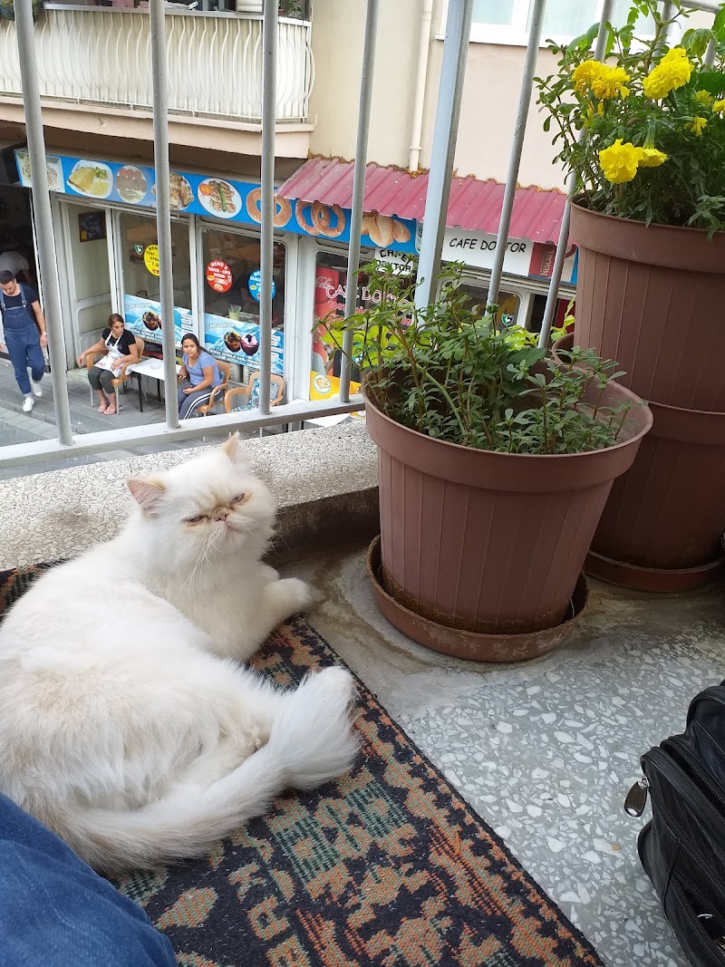 Denizli Sürücü Kursu