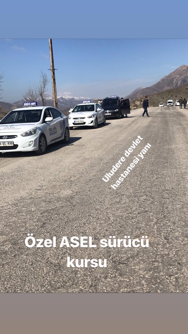 Asel Sürücü Kursu
