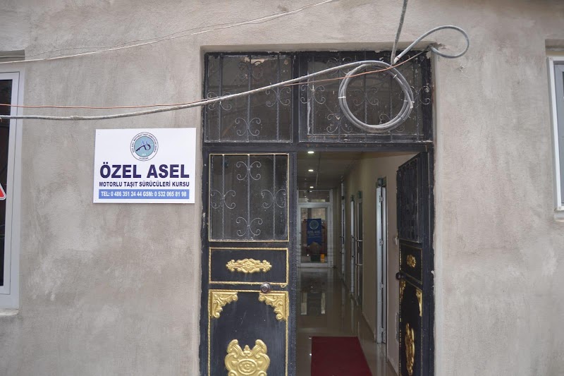 Asel Sürücü Kursu