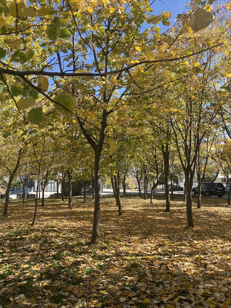 Modern Sürücü Kursu