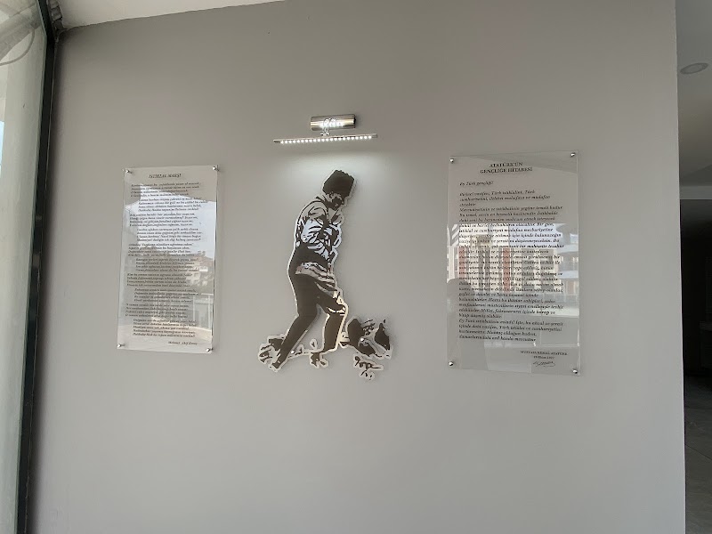 Asal Taşıt Sürücü Kursu