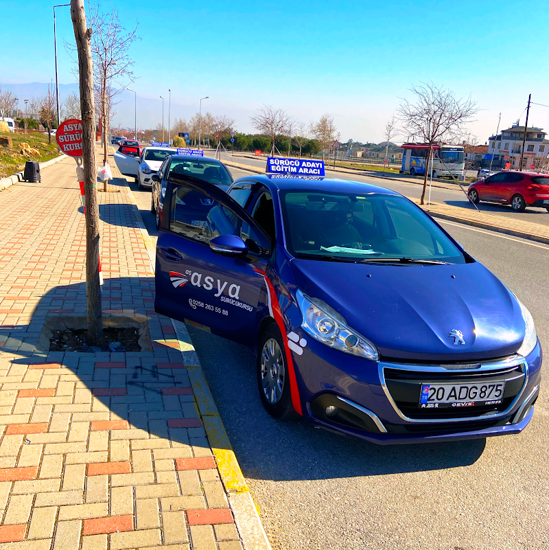 As Asya Sürücü Kursu