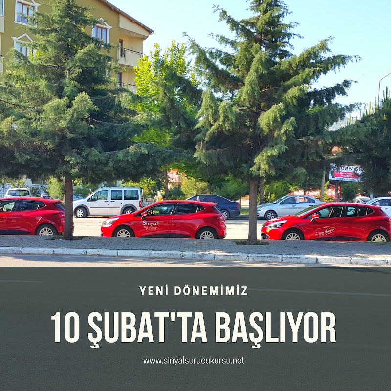 Sinyal Sürücü Kursu