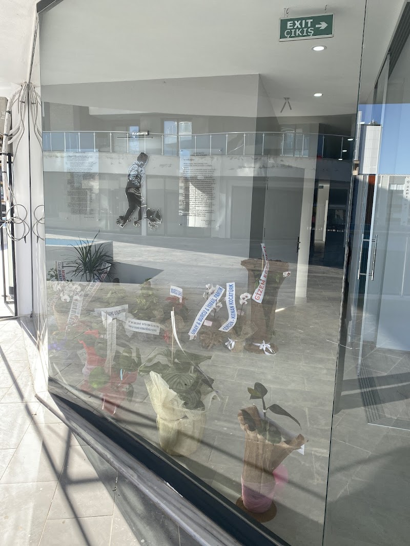 Asal Taşıt Sürücü Kursu