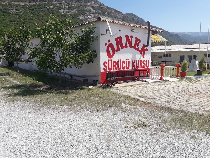 Örnek Sürücü Kursu