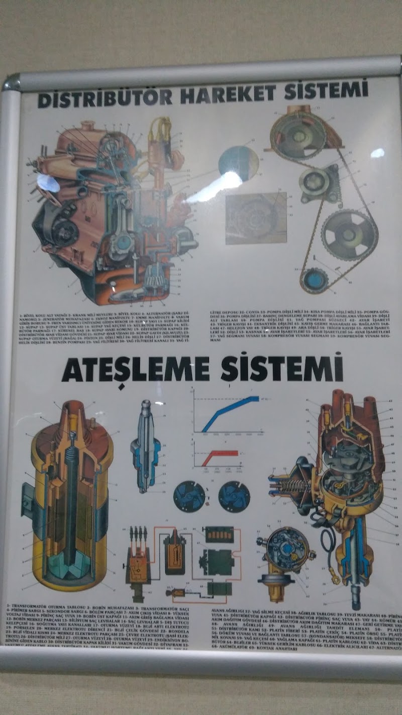 Öz Damla Sürücü Kursu