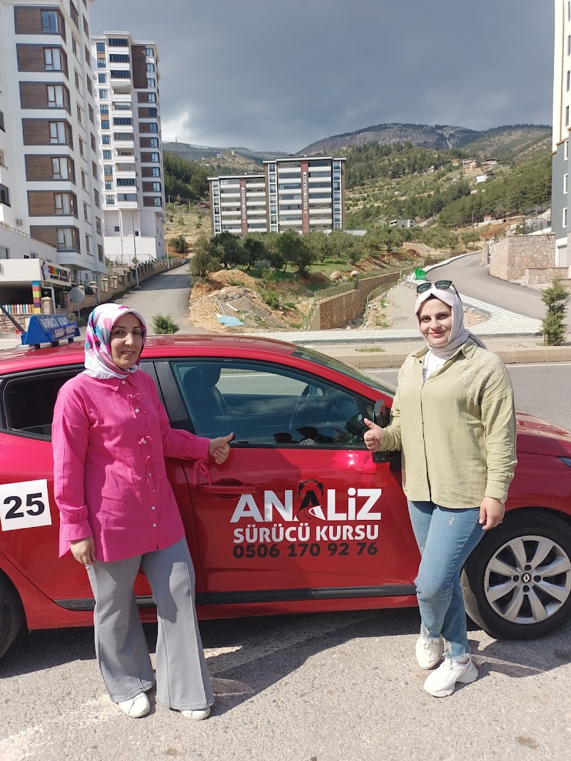 Analiz Taşıt Sürücü Kursu