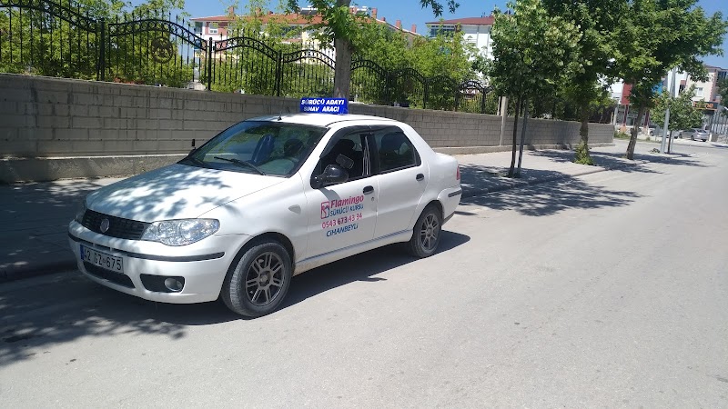 Flamingo Sürücü Kursu