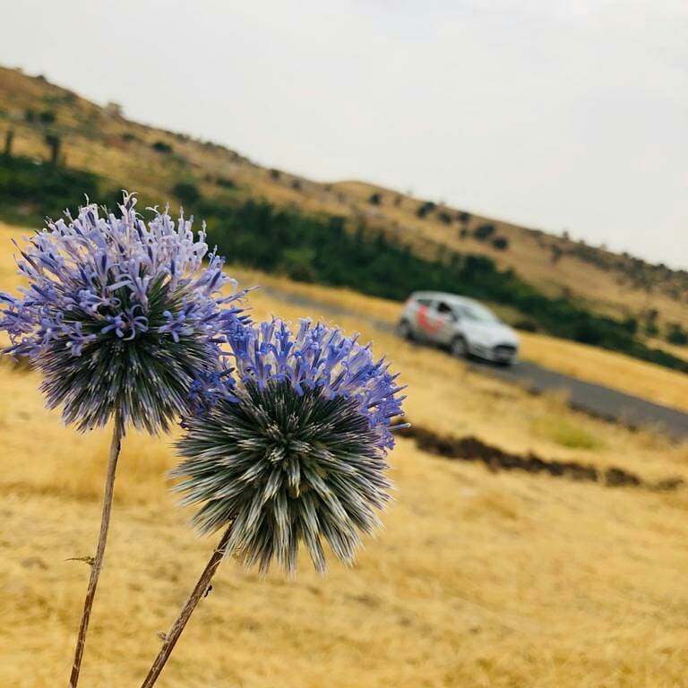 Güney Sürücü Kursu