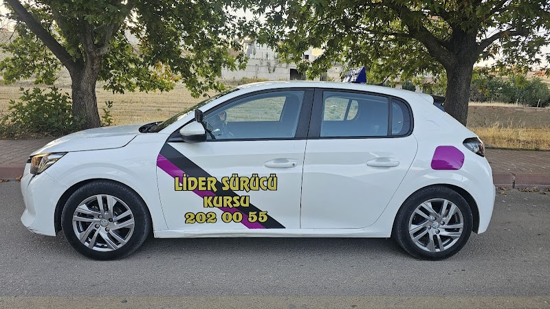 Lider Sürücü Kursu