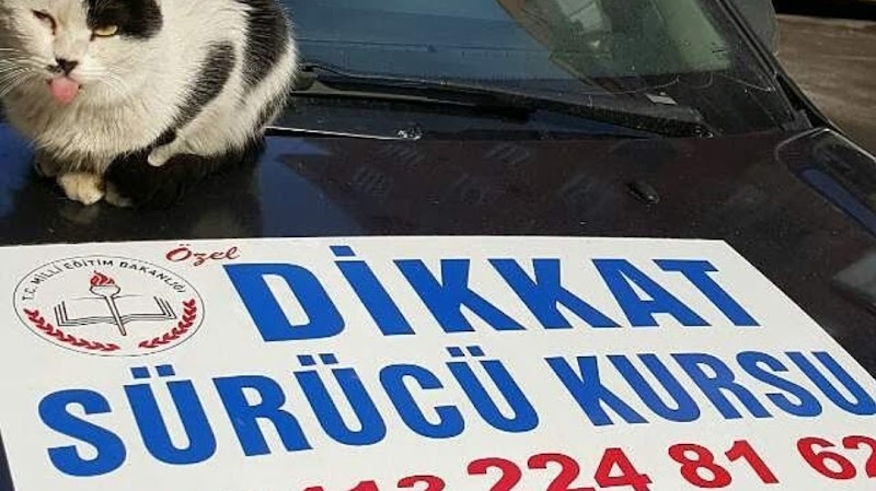 Dikkat Sürücü Kursu
