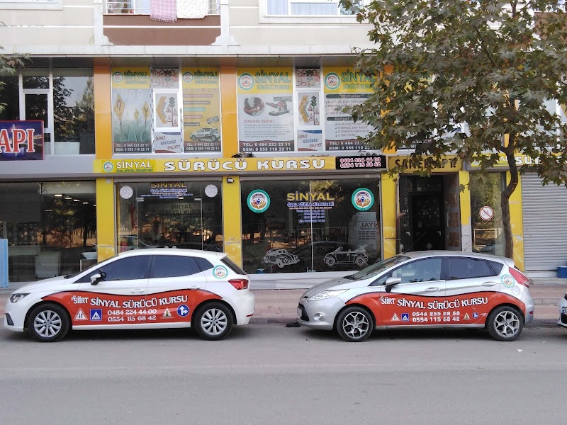 Sinyal Sürücü Kursu