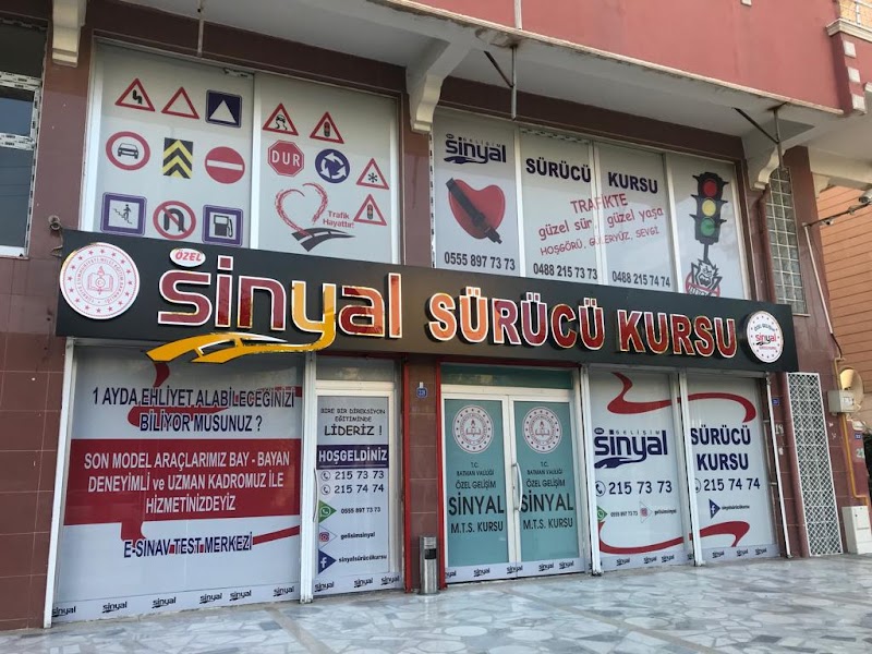 Gelişim Sinyal Sürücü Kursu