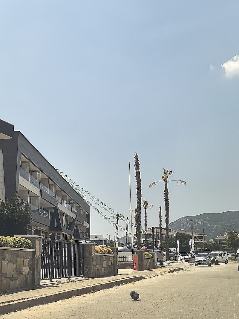 Kaptan Kırk Sürücü Kursu