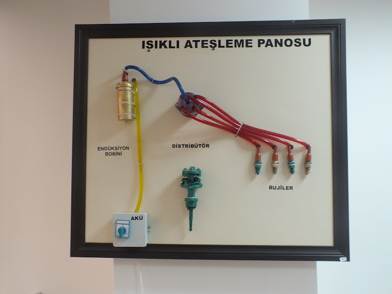 Yeni Avrupa Sürücü Kursu