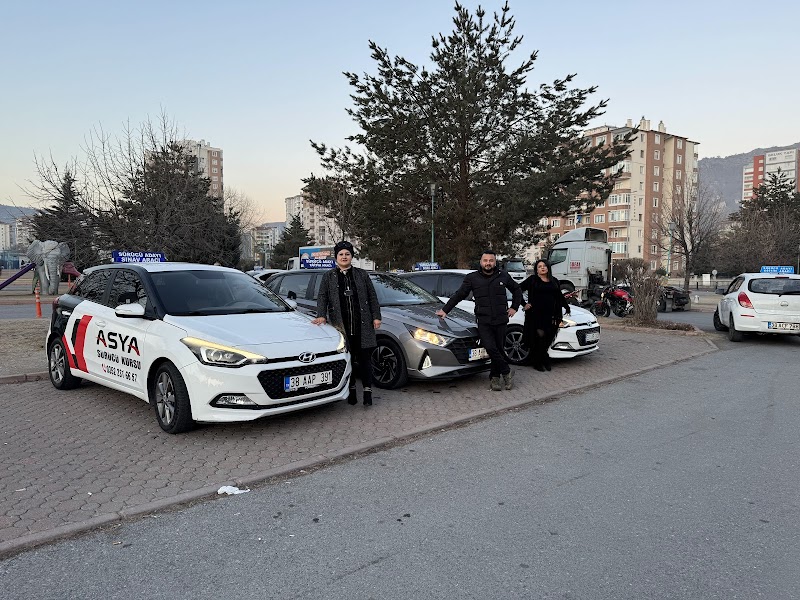 Öz Asya Sürücü Kursu