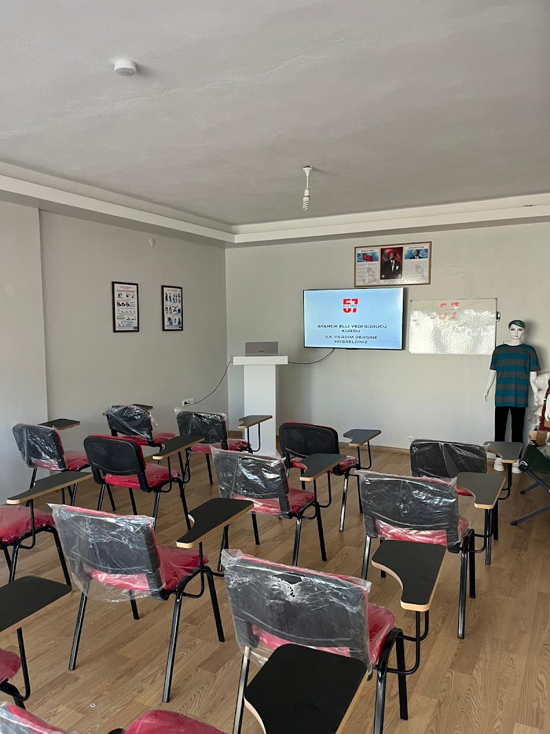 Ayancık Elli Sürücü Kursu