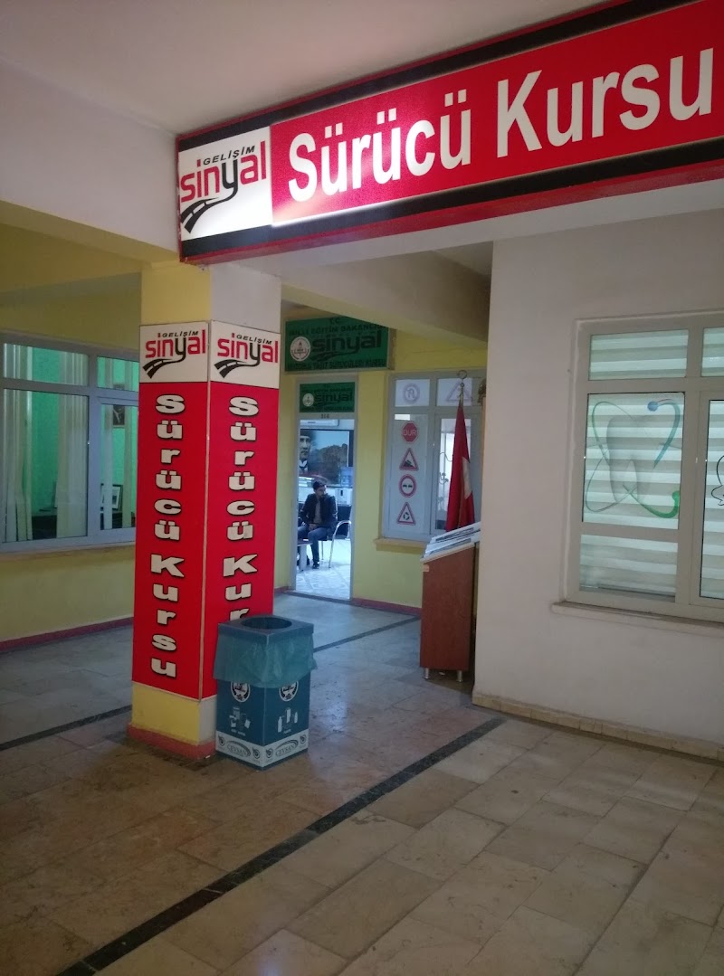 Gelişim Sinyal Sürücü Kursu