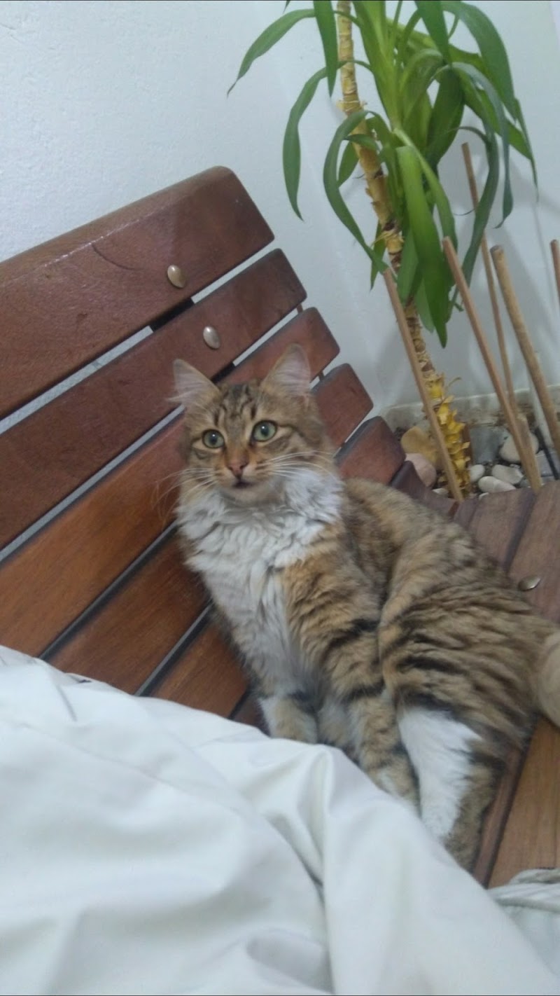 Keçiören Sürücü Kursu
