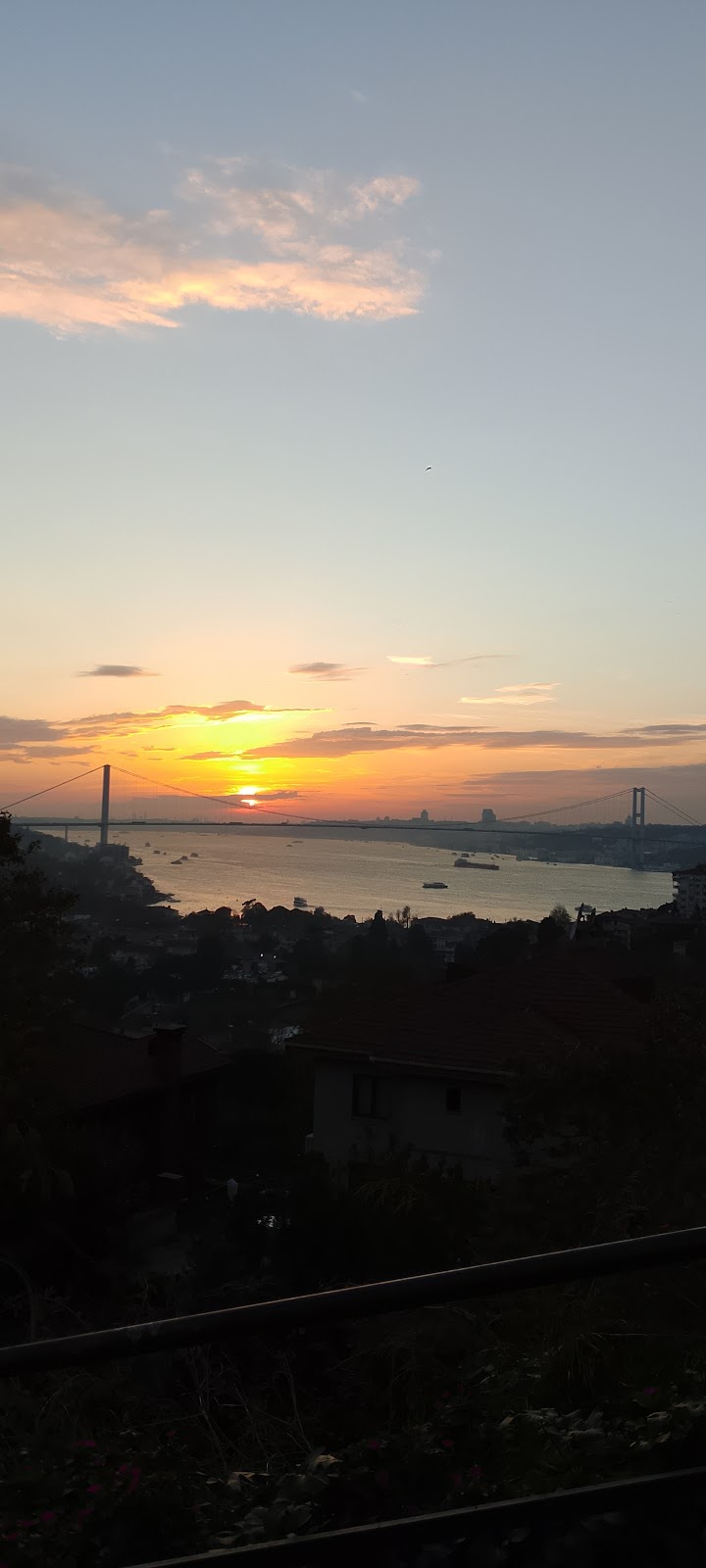 Sevin Sürücü Kursu
