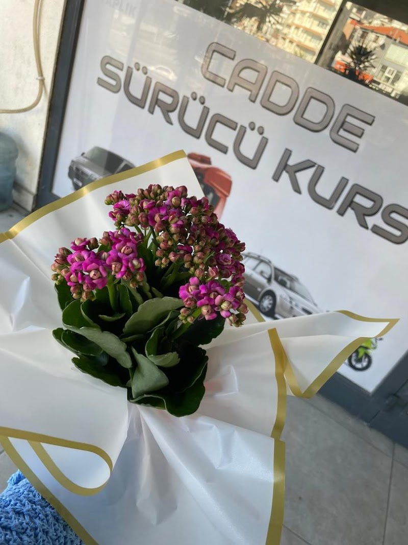 Çiğli Cadde Sürücü Kursu