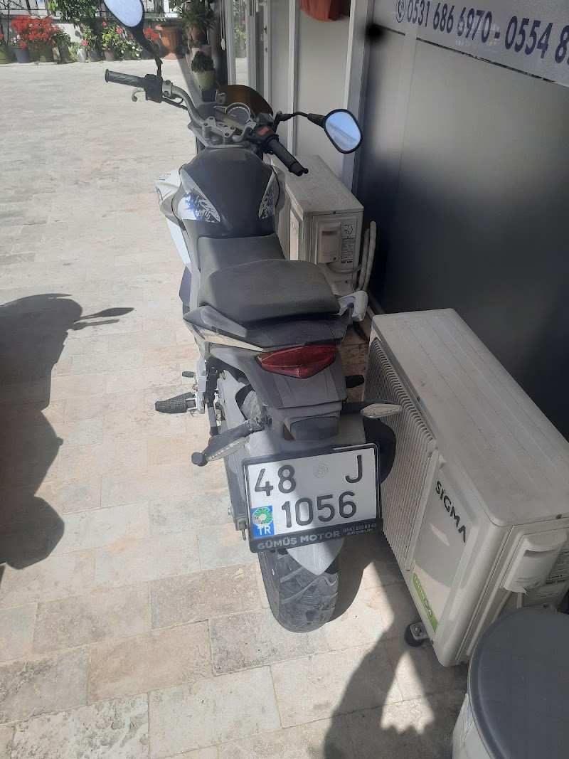 Ay Işığı Sürücü Kursu