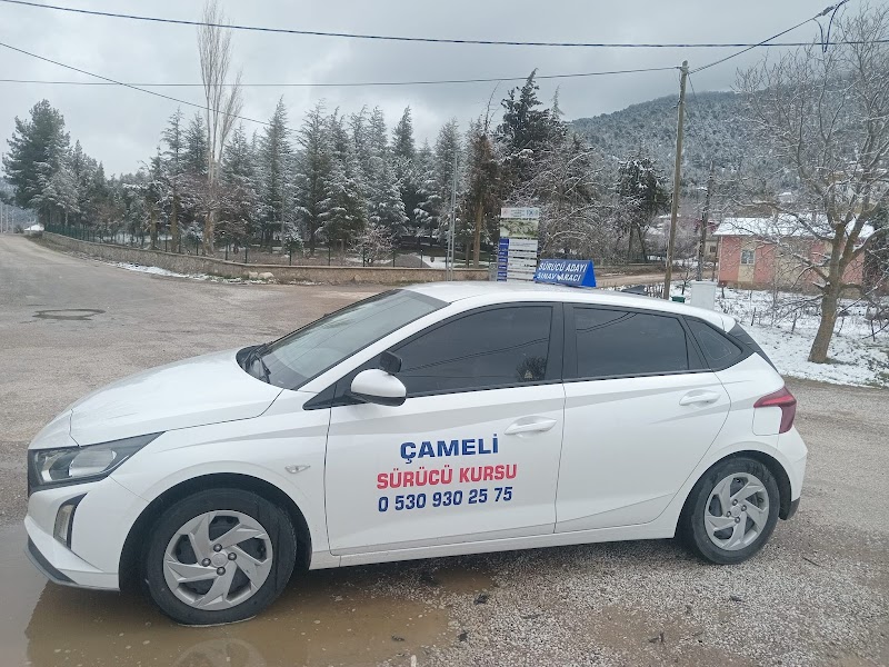 Çameli Taşıt Sürücü Kursu