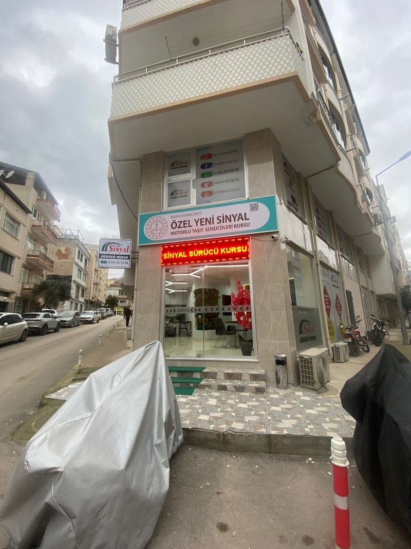 Yeni Sinyal Sürücü Kursu