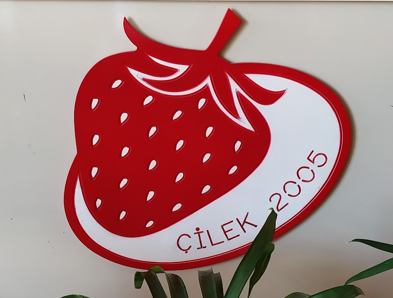 Çilek Sürücü Kursu