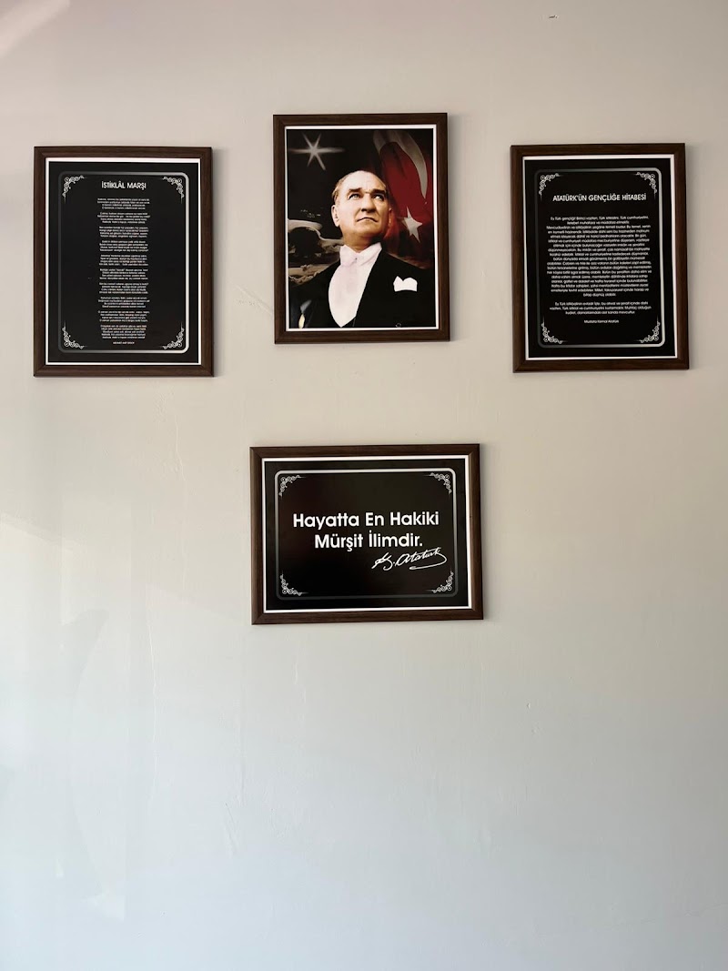 Ayancık Elli Sürücü Kursu