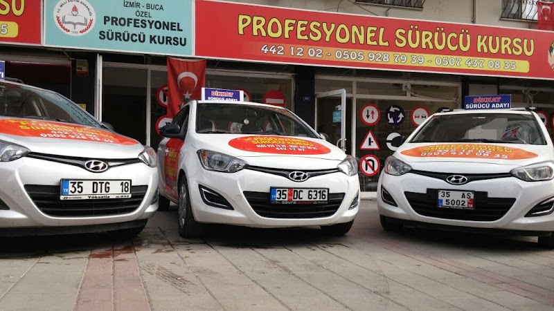 Profesyonel Sürücü Kursu