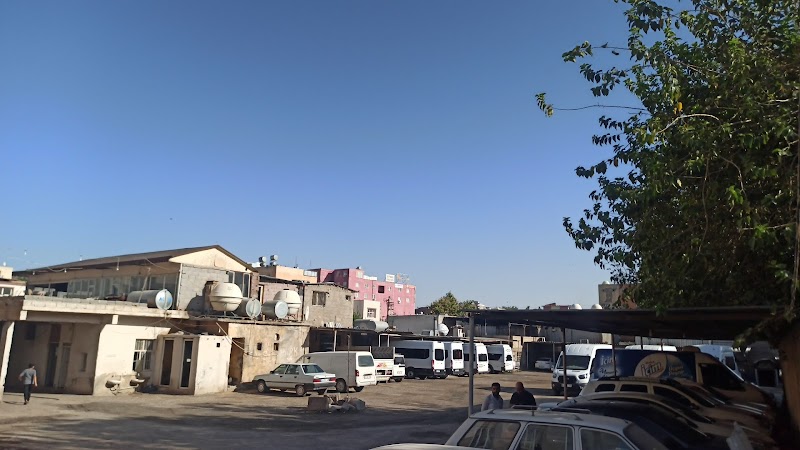 Öztemel Viranşehir Sürücü Kursu