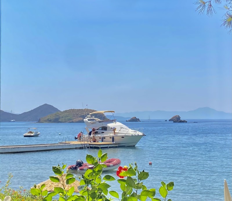 Datça Sürücü Kursu