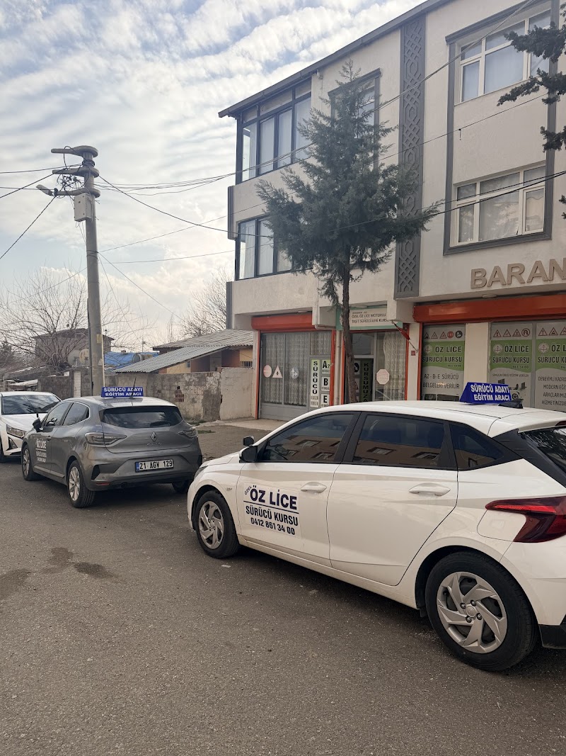 Öz Lice Sürücü Kursu