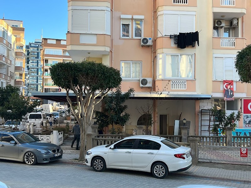 Kaptan Taşıt Sürücü Kursu