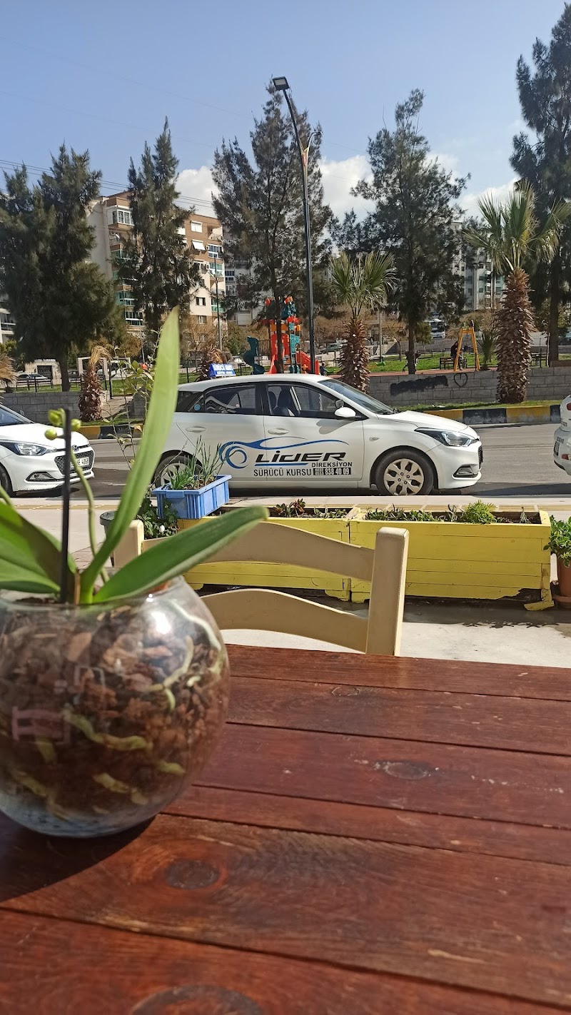 Lider Sürücü Kursu