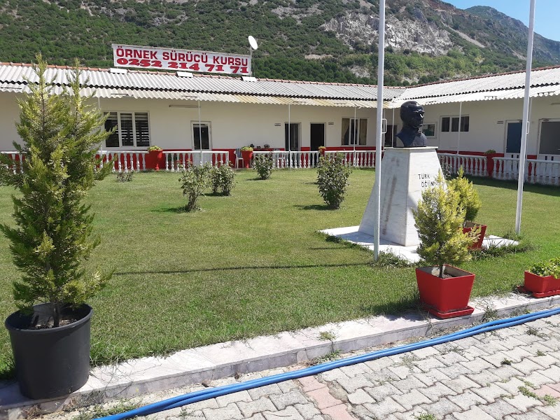 Örnek Sürücü Kursu